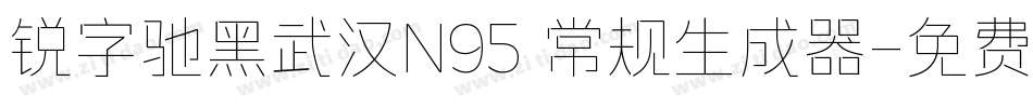 锐字驰黑武汉N95 常规生成器字体转换
